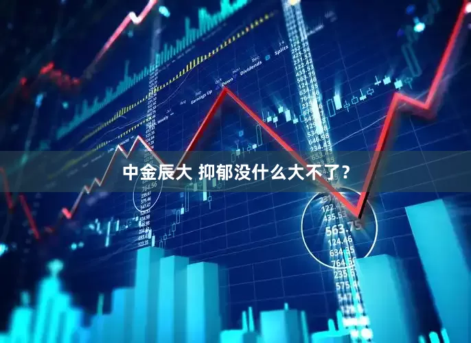 中金辰大 抑郁没什么大不了？